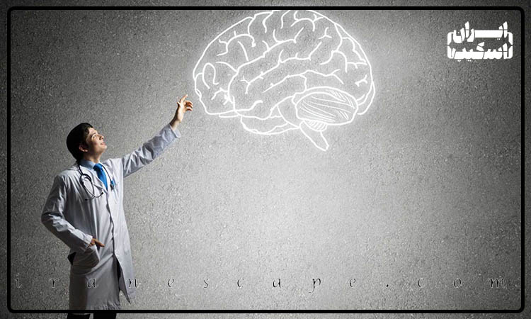 چرا حل معما اینقدر برای مغز لذت بخش است؟ 2 واکنش های شیمیایی مغز هنگام حل معما