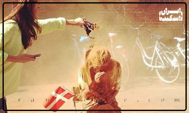 جشن پرتاب دارچین