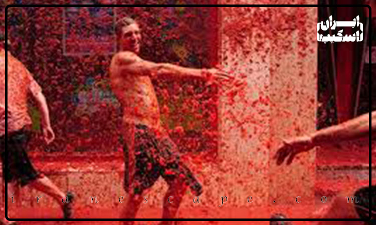 نبرد گوجه فرنگی اسپانیا