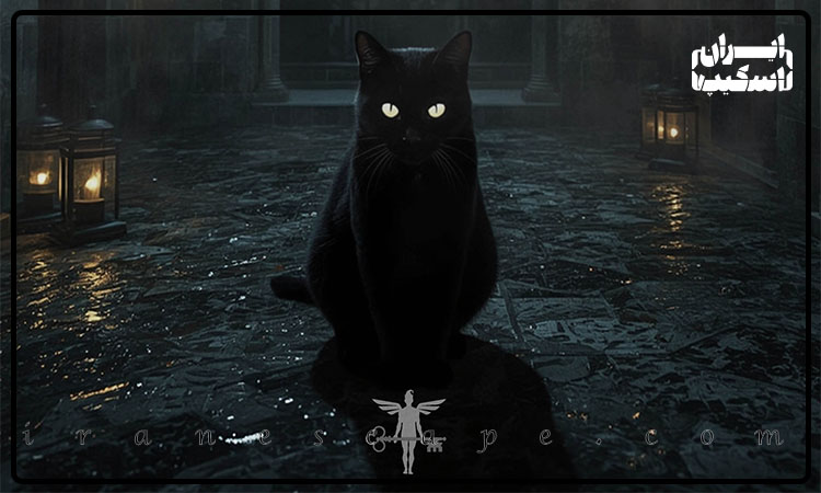 معرفی بهترین اتاق فرارهای شرق تهران 6 اتاق فرار گربه سیاه در پیروزی